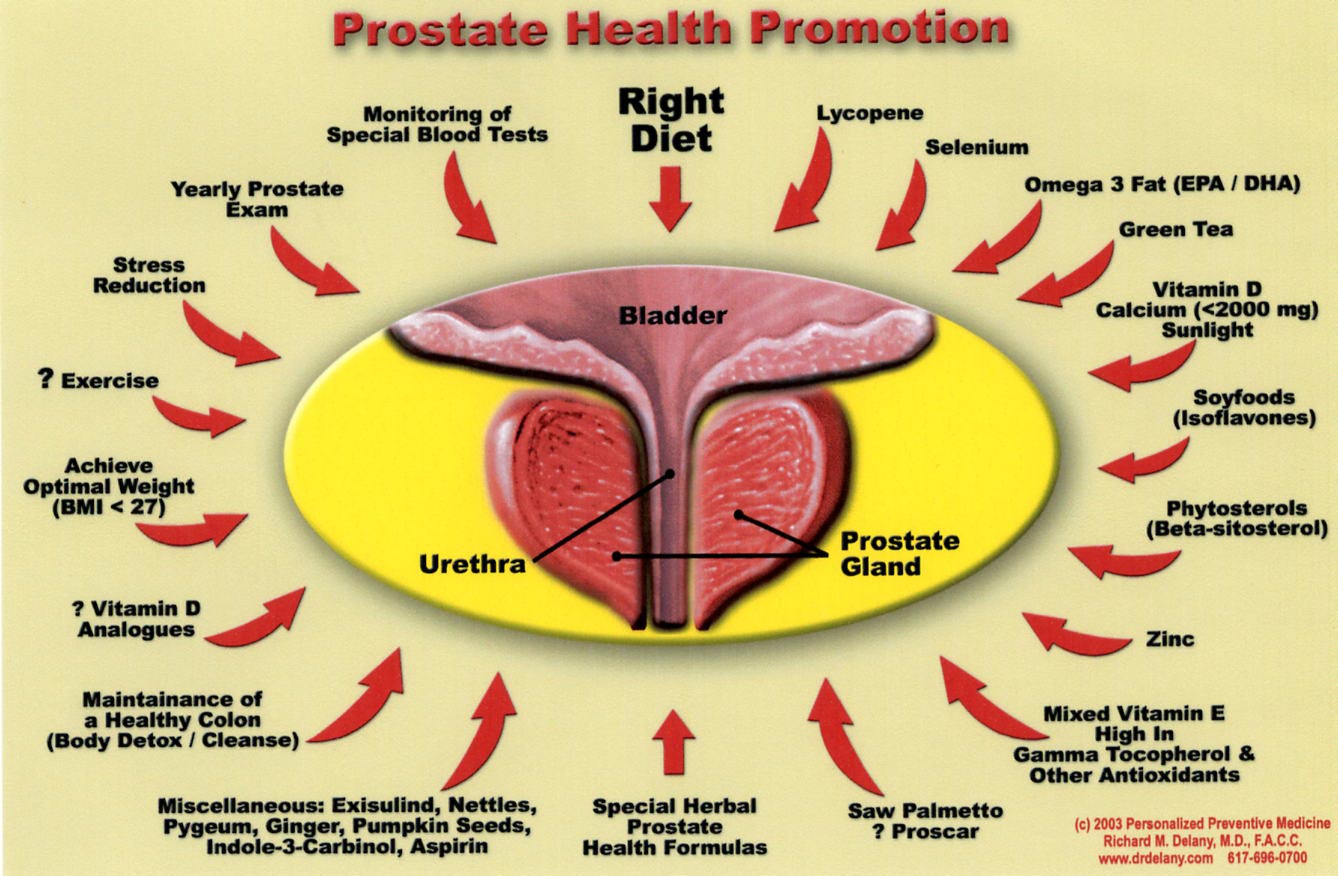 Prostate-Promotion-Diagram.jpg