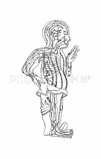 acupuncture points and energy meridians.jpg