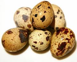 quails eggs.jpg