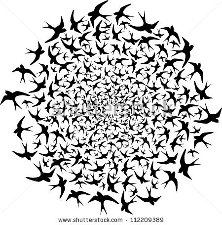 flock-of-birds-flying-in-circle-112209389.jpg