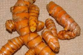 turmeric root.jpg