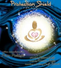 protection shield.jpg