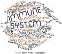 immune system.jpg
