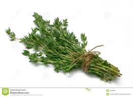 a bunch of thyme.....jpg