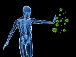 immune system jpg.jpg