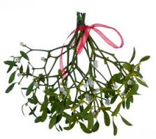 mistletoe bunch.jpg