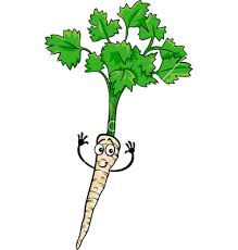 parsley with root.jpg