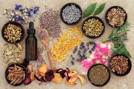 naturopathy.jpg