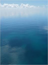 oasis of calm.....jpg