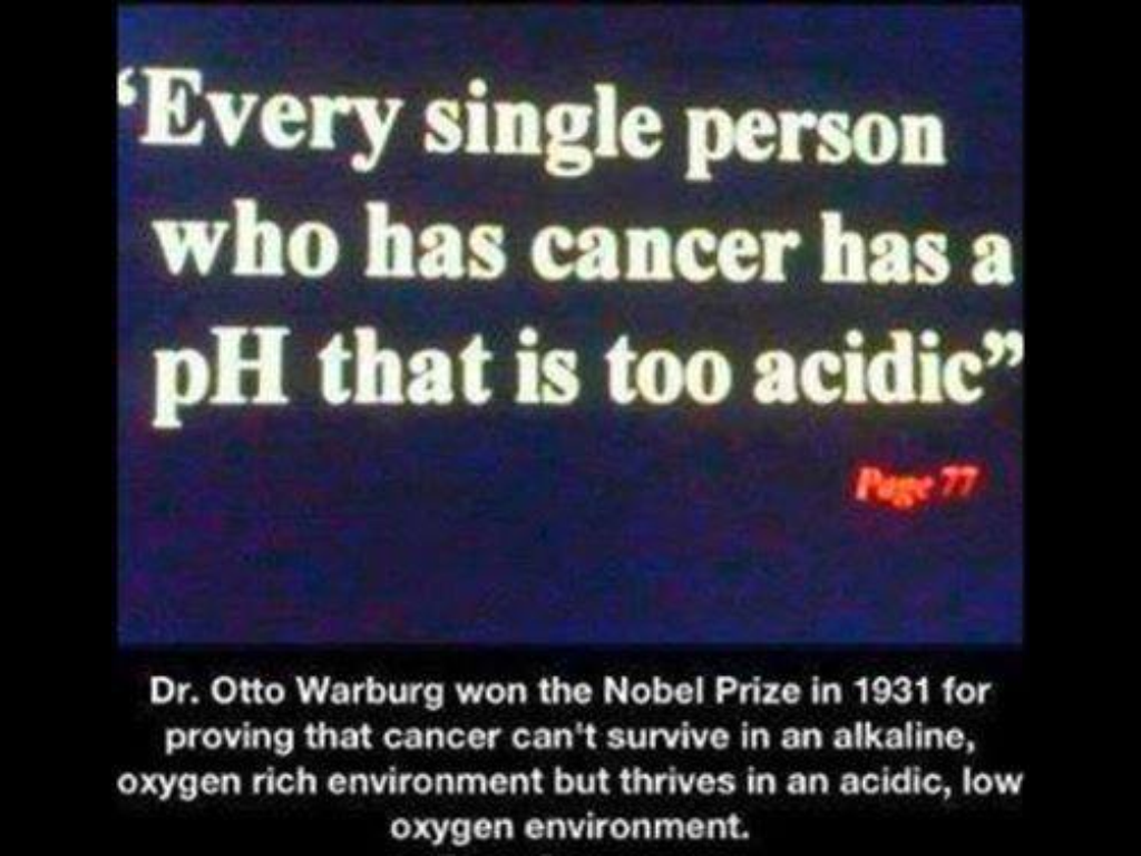 photo (3) WARBURG.PNG